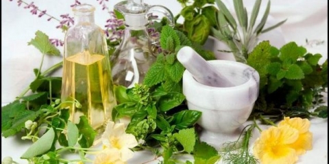 Koje ljekovito bilje treba da bude u svakom domu: sakupljanje i skladištenje